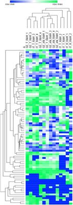 Corylus avellana L. Natural Signature: Chiral Recognition of Selected Informative Components in the Volatilome of High-Quality Hazelnuts